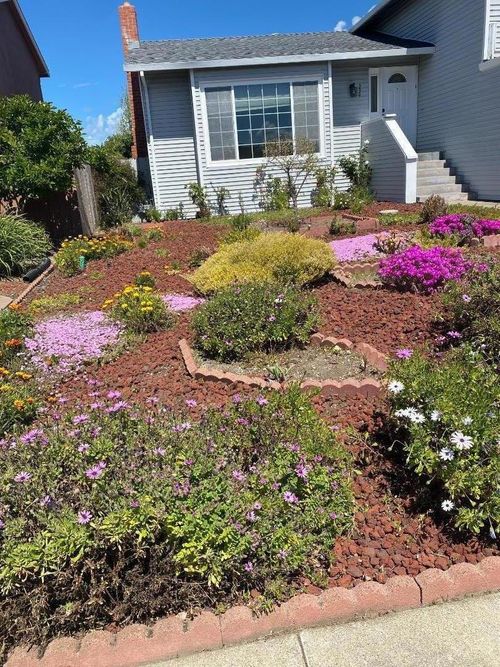 239 Killdeer Ct, Foster City, CA, 94404-1331 | Card Image