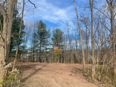 Lot #4 Rider Street, Home with 0 bedrooms, 0 bathrooms and null parking in Parish NY | Image 2