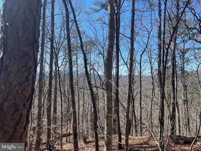 0 Bear Cove Rd, Home with 0 bedrooms, 0 bathrooms and null parking in Bryson City NC | Image 7