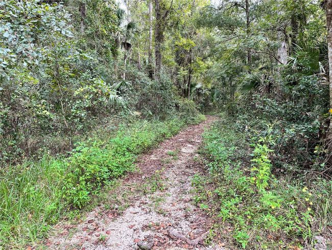 3067 Ne 102 Nd Avenue Rd, House other with 1 bedrooms, 1 bathrooms and null parking in SILVER SPRINGS FL | Image 88
