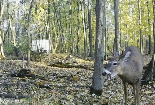 00 Fair Haven Avenue, Ira Township, MI, 48023 | Card Image