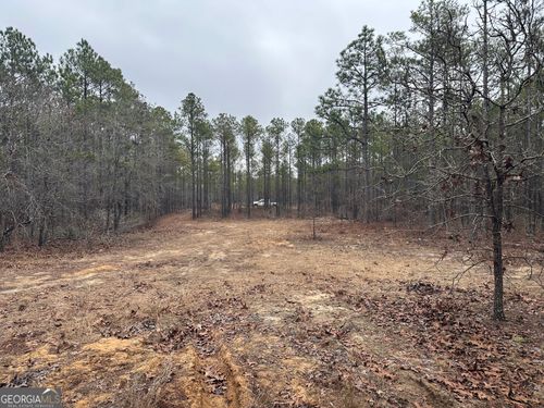 000 Hunter Dr, Mauk, GA, 31058 | Card Image