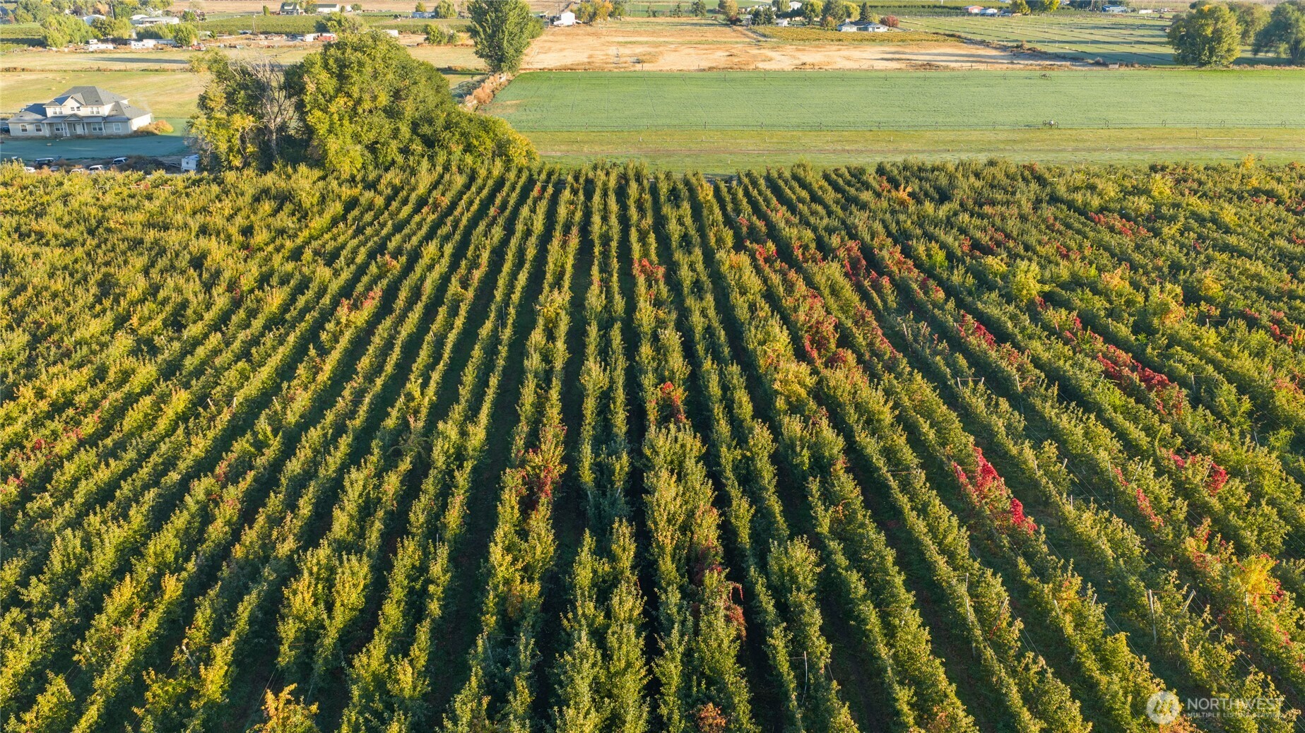 Farm in Grandview 4