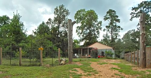 159 Greens Elbow, Livingston, TX, 77351-6414 | Card Image