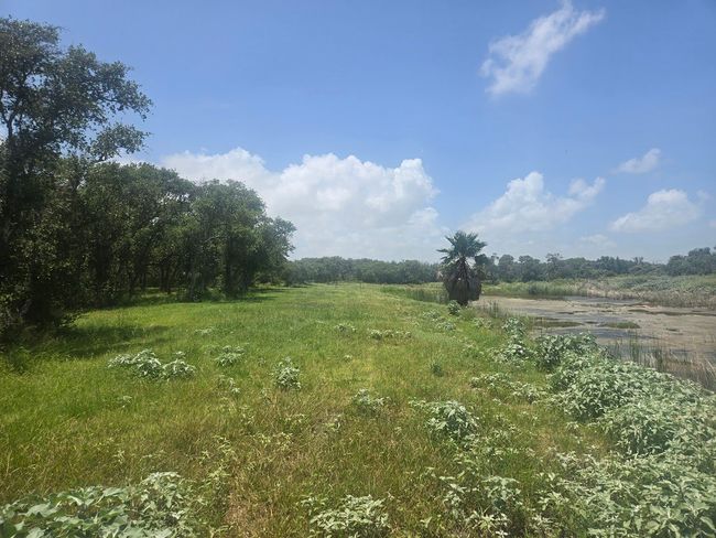 148 Dominguez Rd, Home with 0 bedrooms, 0 bathrooms and null parking in Aransas Pass TX | Image 17