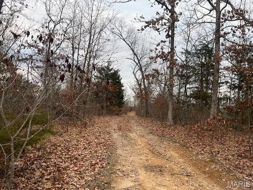 0 125.87ac Tract A-2 Clear Creek Road, Richwoods, MO, 63071 | Card Image