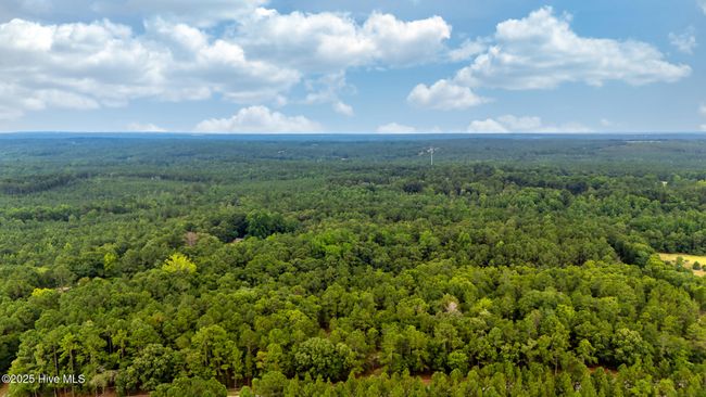 2 - 2099 Carthage Rd, Home with 0 bedrooms, 0 bathrooms and null parking in West End NC | Image 8