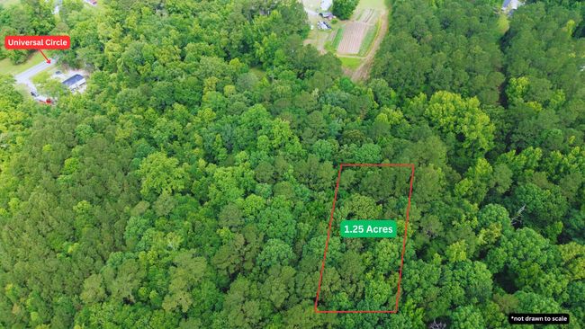 1.25 Acres (4) | Image 13