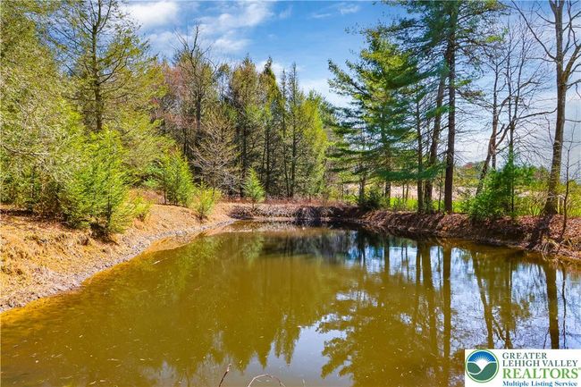 Secret Pond in the woods beside the Hay Pasture | Image 55