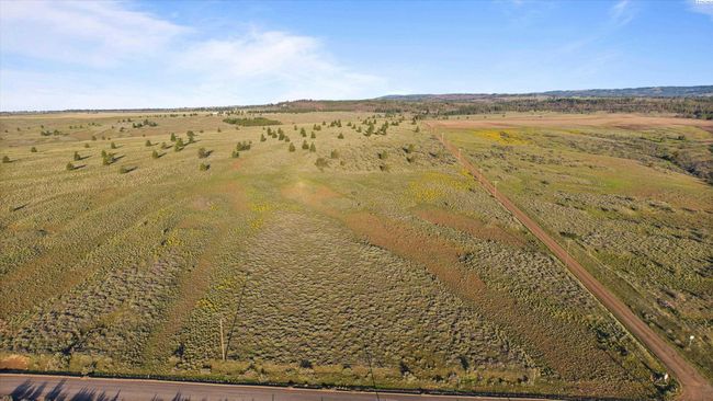 183 Middle Rd, Home with 0 bedrooms, 0 bathrooms and null parking in Bickleton WA | Image 13