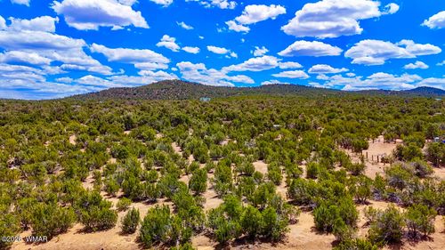 15 County Road, Vernon, AZ, 85940 | Card Image