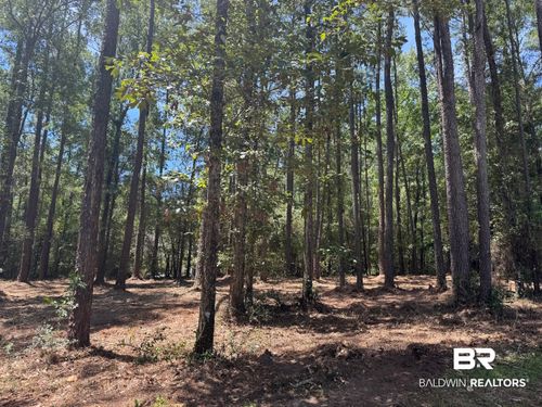 lot-6-0 Bridgewood Ln, Daphne, AL, 36527 | Card Image