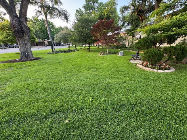 View of common grassy area | Image 31