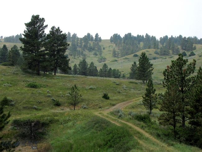 Dry Seasonal Pond | Image 27