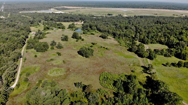 333 County Road 3092, Home with 0 bedrooms, 0 bathrooms and null parking in De Berry TX | Image 5