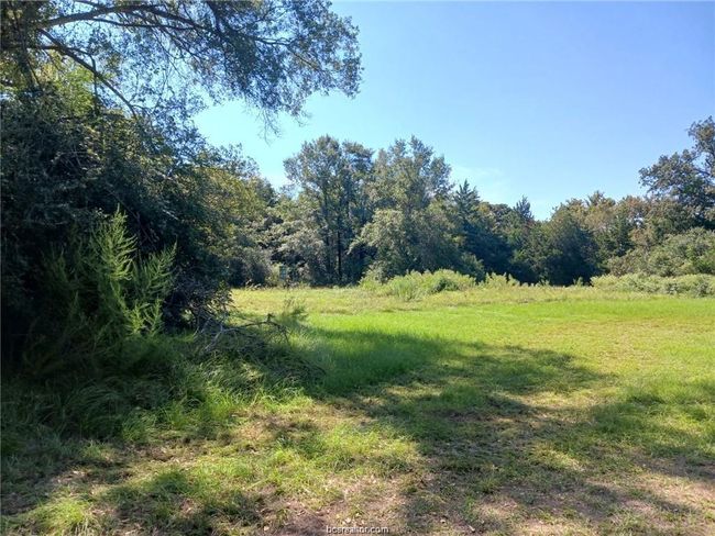 View of wooded area | Image 4