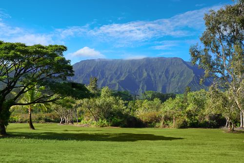 3-2818 Kamookoa Rd, KILAUEA, HI, 96754-5110 | Card Image