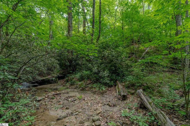 76 Southview Ledge Rd, Home with 0 bedrooms, 0 bathrooms and null parking in Landrum SC | Image 8