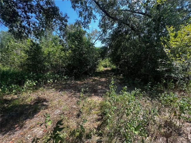 30 Fm 1486, Home with 0 bedrooms, 0 bathrooms and null parking in Richards TX | Image 10