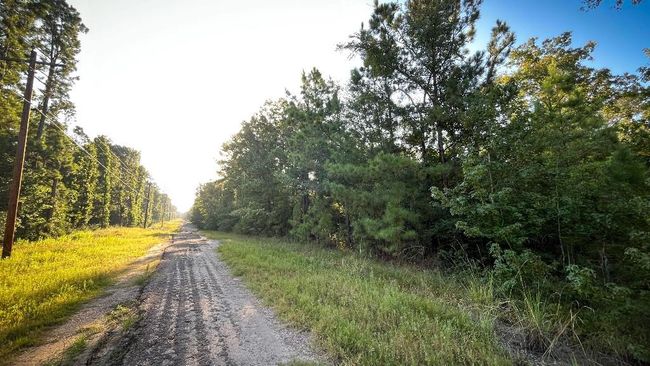 947 N Settlers Way, Home with 0 bedrooms, 0 bathrooms and null parking in Trinity TX | Image 6