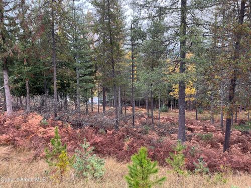 104 Blazing Saddle Ct, Smelterville, ID, 83868 | Card Image