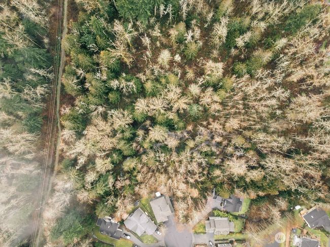 0 Princeton Ct, Home with 0 bedrooms, 0 bathrooms and null parking in Bellingham WA | Image 31