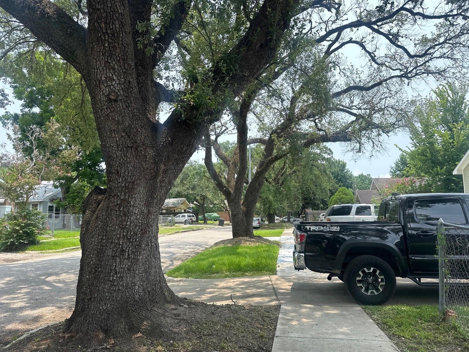 Residential in Houston 4