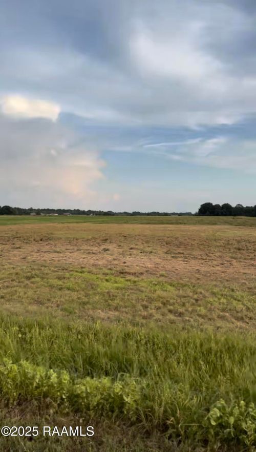 223 Big Leaf Rd, Iota, LA, 70543-3517 | Card Image