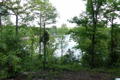 94-LOT 94 Wright Way Dr, Wedowee, AL, 36278 | Card Image