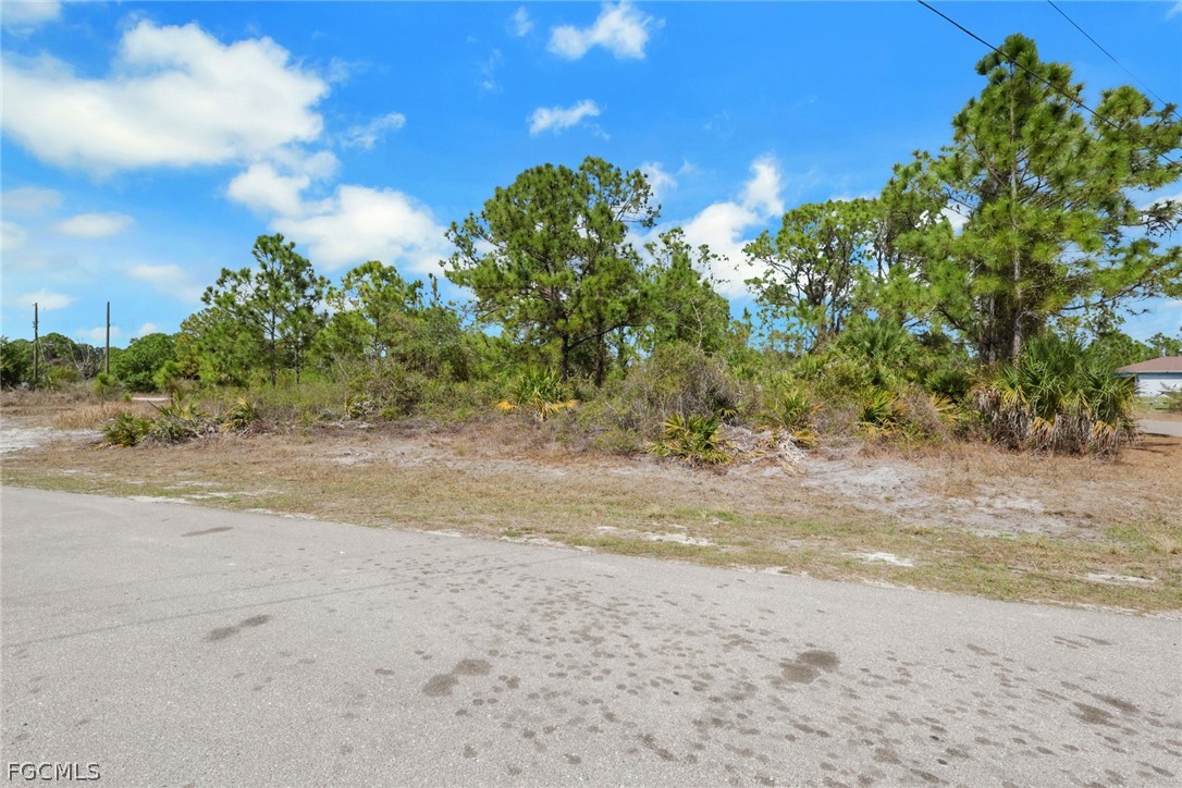 Land in Lehigh Acres 2