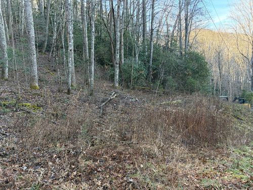 00 Old Faber Rd, Topton, NC, 28781 | Card Image