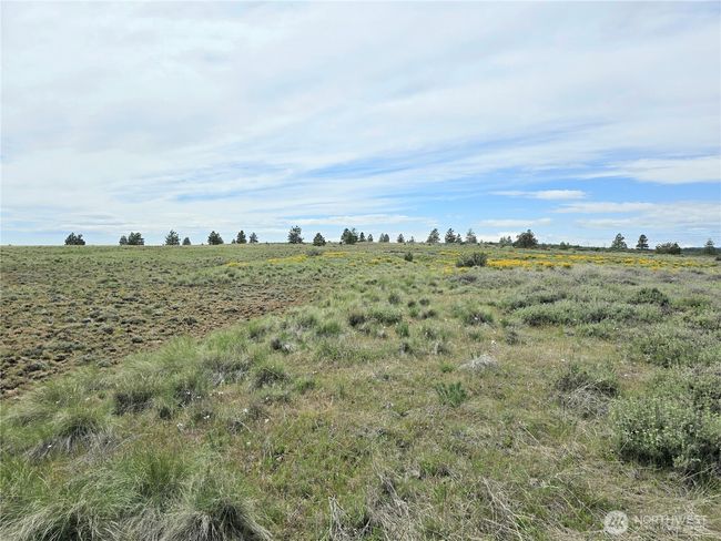 180 Middle Rd, Home with 0 bedrooms, 0 bathrooms and null parking in Bickleton WA | Image 5