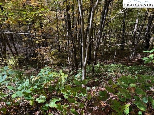 Lot 677 Three Top Trailhead Access Road, Creston, NC, 28615 | Card Image