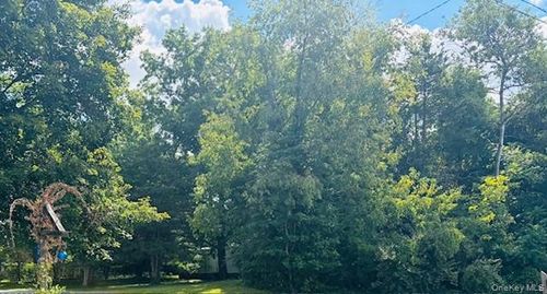 58 Britton St, Pine Plains, NY, 12567-5128 | Card Image