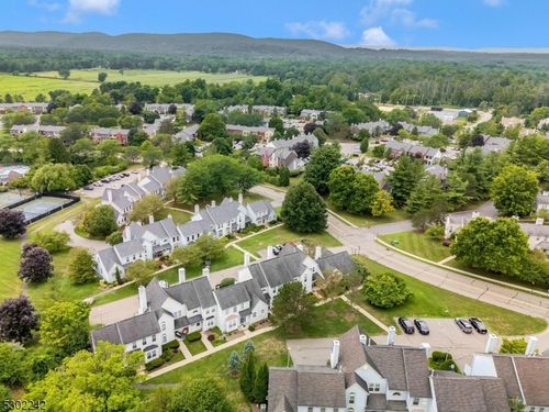3 Ruffed Grouse, Hackettstown, NJ, 07840-3316 | Card Image
