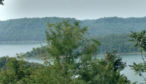 413 Maury Ln, Smithville, TN, 37166-2991 | Card Image