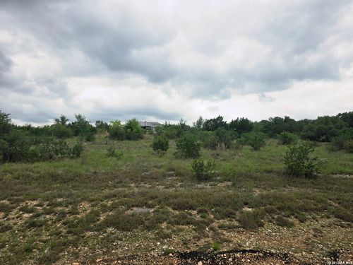 1642 Decanter Dr, New Braunfels, TX, 78132-2695 | Card Image