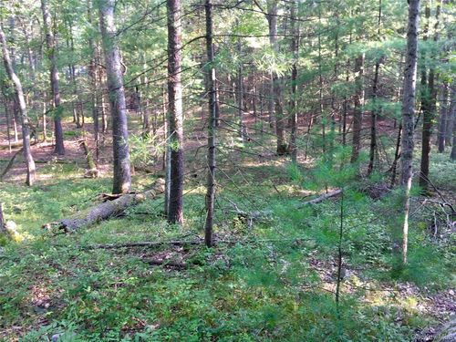 55 Old Plank Rd, Sparrow Bush, NY, 12780-5011 | Card Image