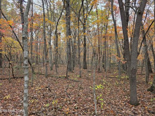7 Divide Trl, Monterey, TN, 38574-7312 | Card Image