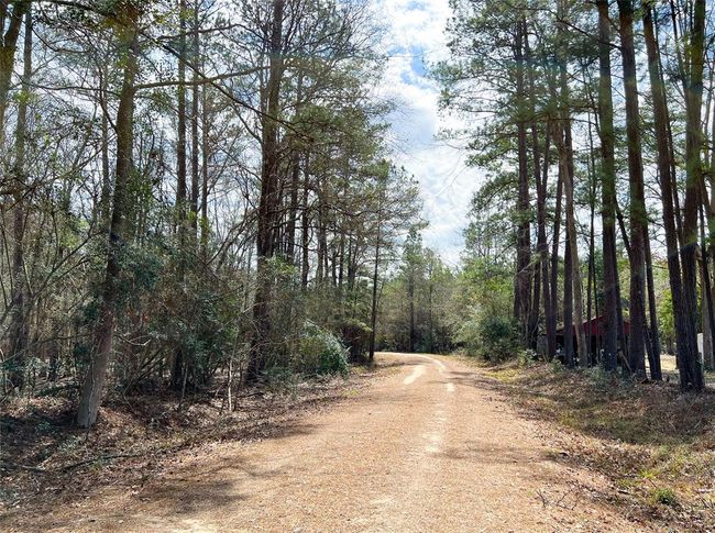 7 Fm 1746, Home with 0 bedrooms, 0 bathrooms and null parking in Spurger TX | Image 5