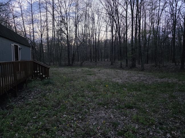 View of yard with a deck and a view of trees | Image 6