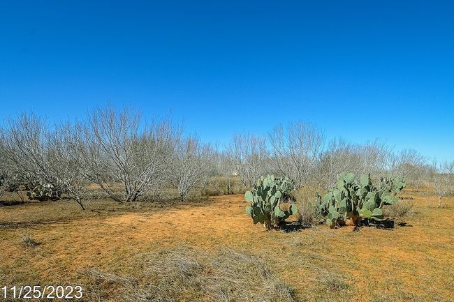 2 Us Hwy 85, Home with 0 bedrooms, 0 bathrooms and null parking in Dilley TX | Image 13