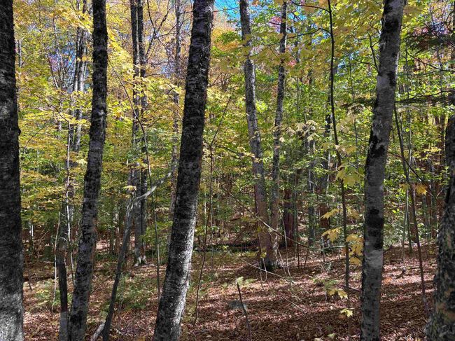 0 Snell Rd, Home with 0 bedrooms, 0 bathrooms and null parking in Chester VT | Image 7