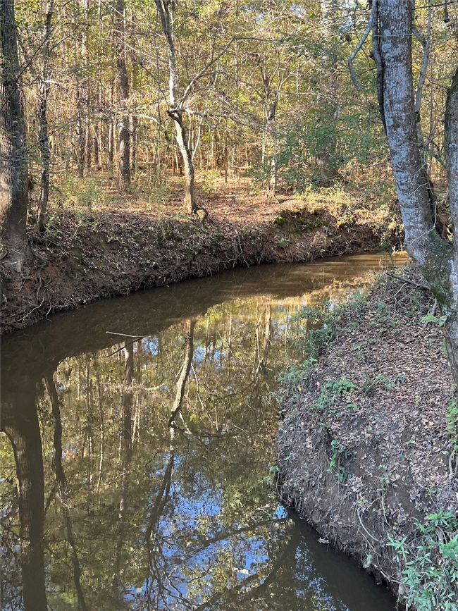 00 County Road 3206 W, Home with 0 bedrooms, 0 bathrooms and null parking in Mount Enterprise TX | Image 12