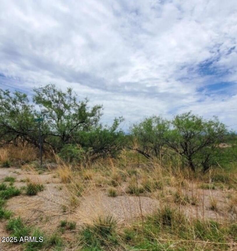 Land in Rio Rico 3