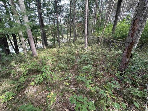 15+/- acres County Road Oo, OTHER, WI, 54473 | Card Image