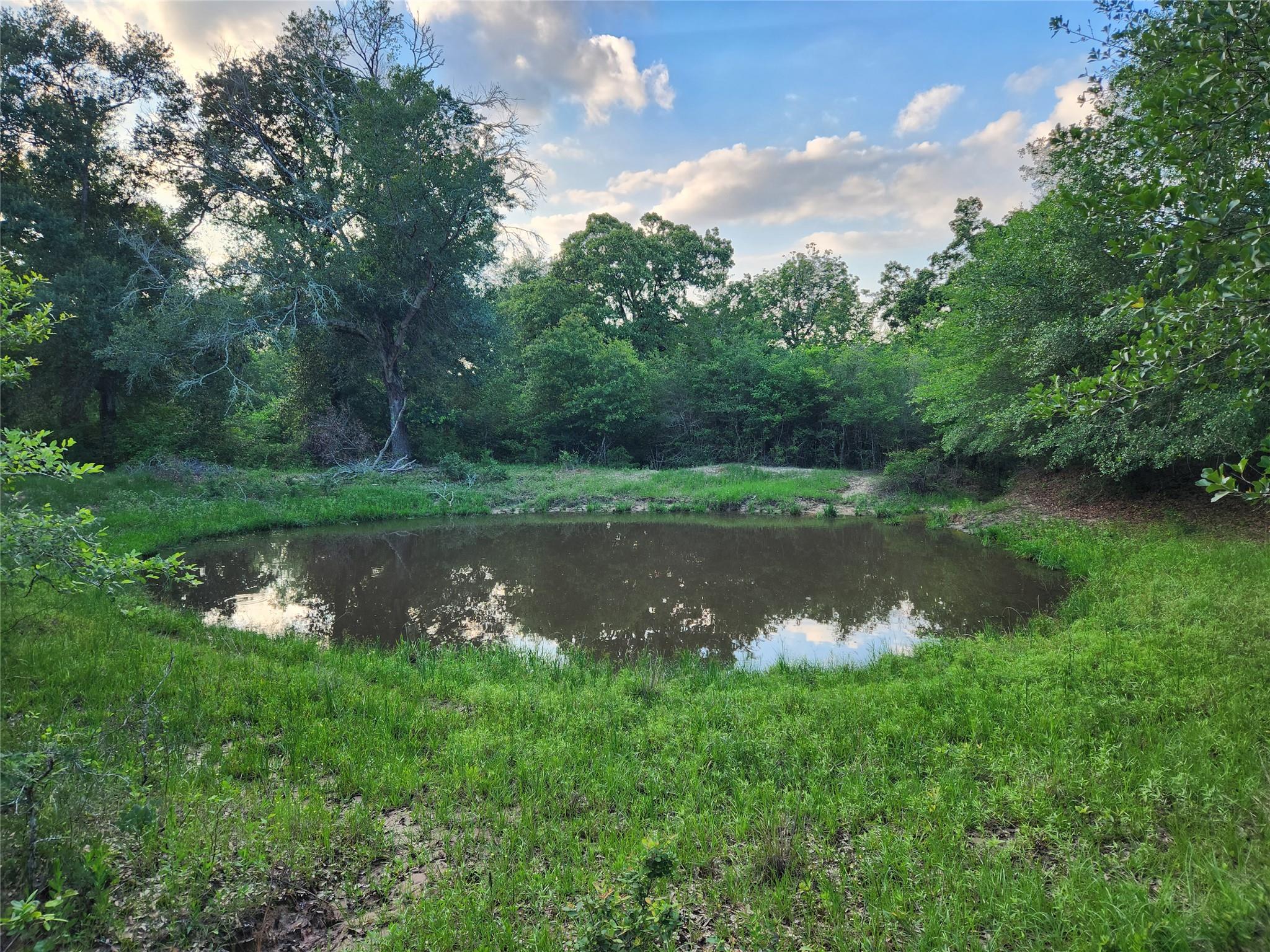 Land in Washington 5