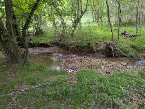 200 First Creek Rd, Rogersville, AL, 35652 | Card Image