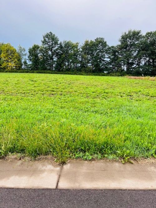 25 W Hill St, Thorp, WI, 54771 | Card Image