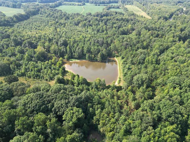 2485 Turner Rd, Home with 0 bedrooms, 0 bathrooms and null parking in Grand Junction TN | Image 15